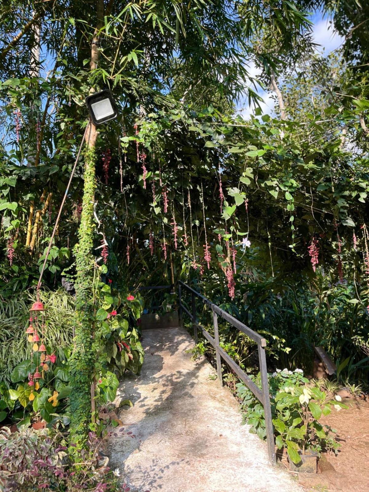 Lush Acres Thekkady Exterior foto