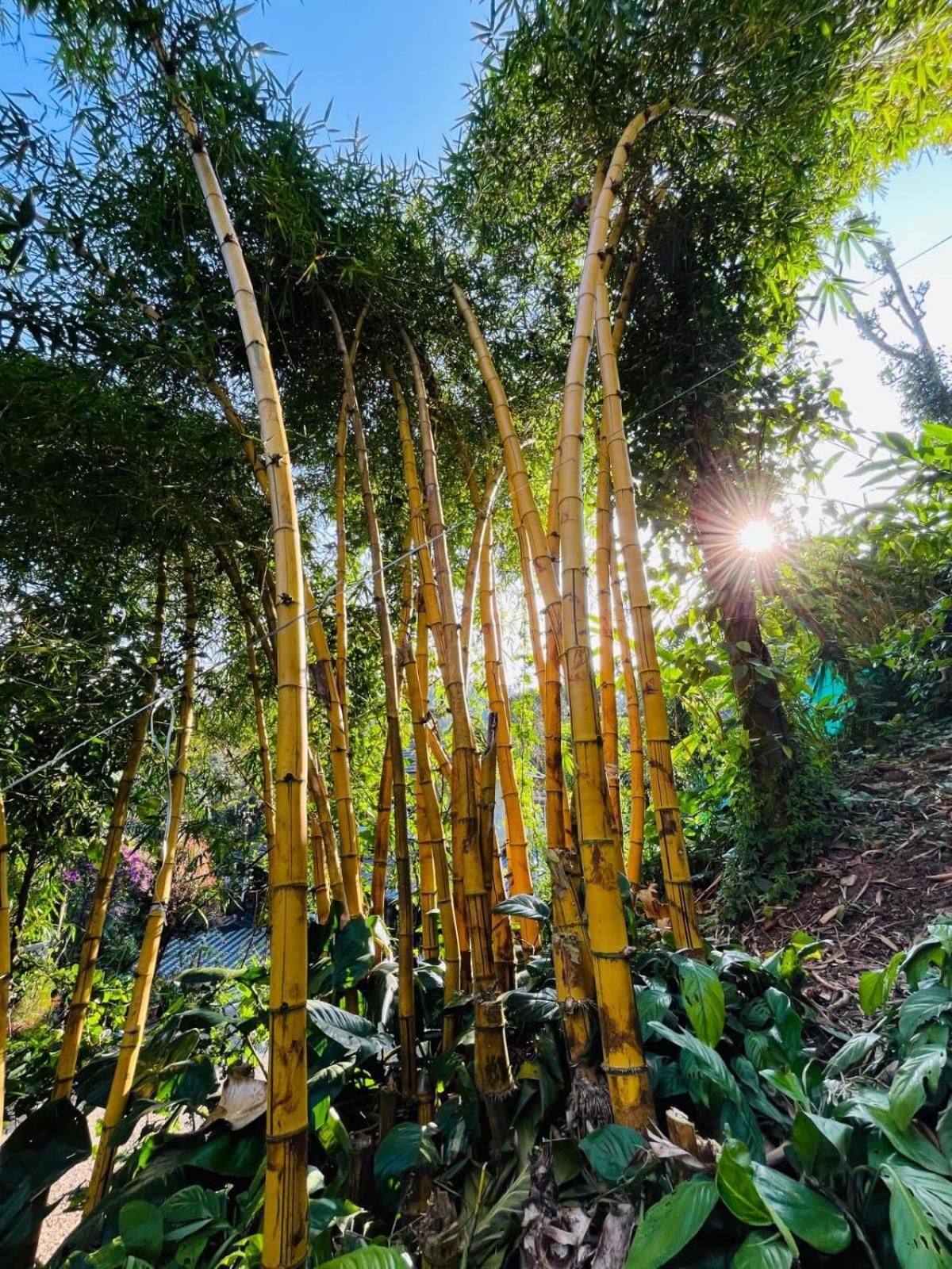 Lush Acres Thekkady Exterior foto