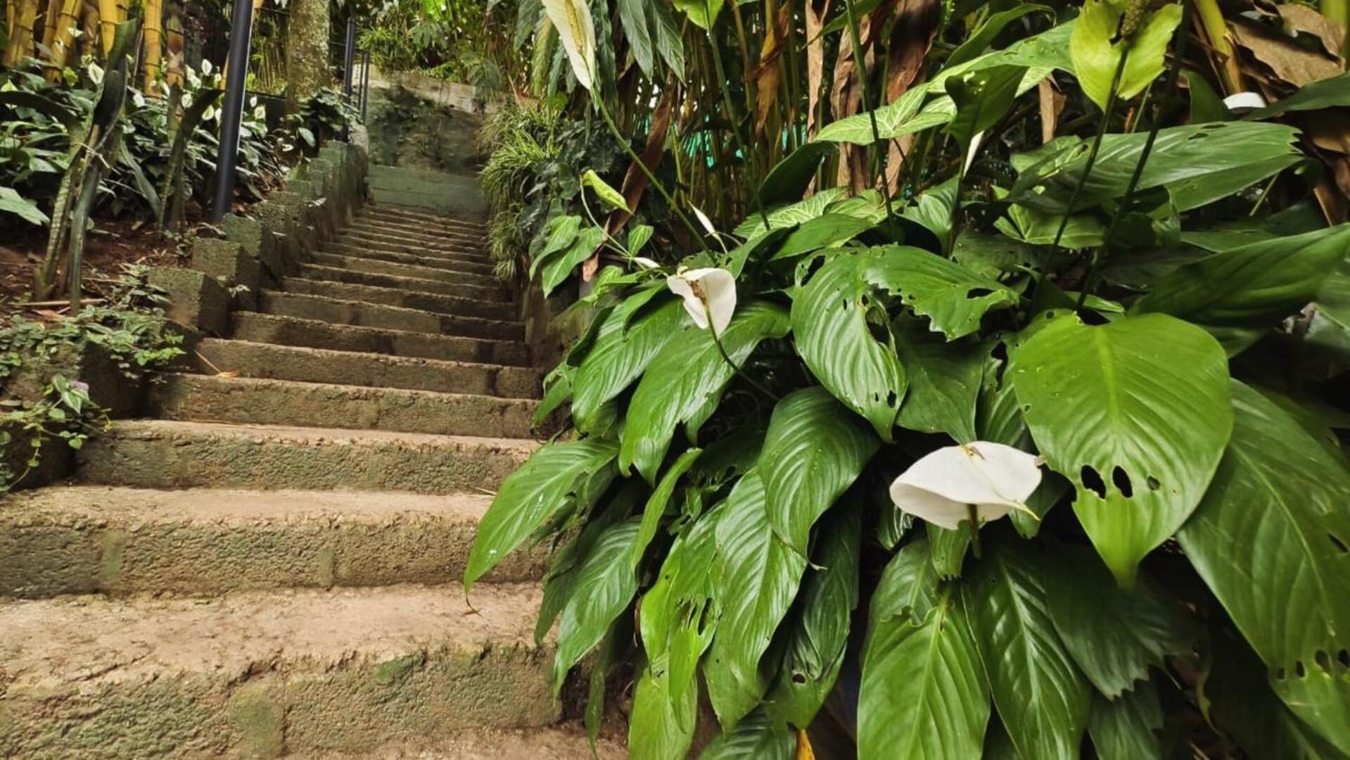 Lush Acres Thekkady Exterior foto
